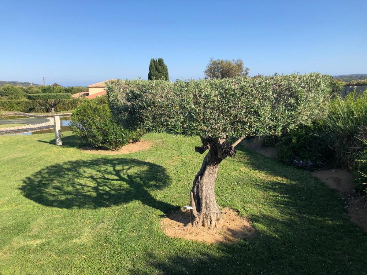 Villa Alba Saint-Tropez Exterior photo